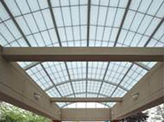Translucent Panel Skylights and Wal